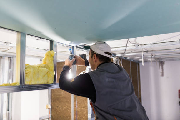 Types of Insulation We Offer in Arabi, LA