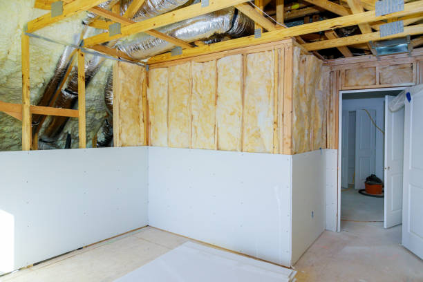 Best DIY Insulation Kits and Guidance in Arabi, LA
