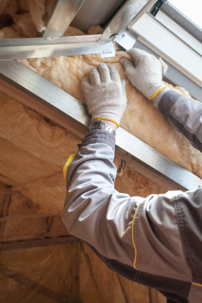 Best Blown-in Insulation in Arabi, LA